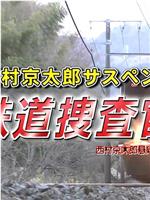 「西村京太郎サスペンス 鉄道捜査官」 富士河口湖・同窓会ツアー連続殺人！ 山梨側から静岡側へ瞬間移動!?富士山縦断ダイヤトリック在线观看和下载