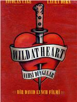 Love, Death, Elvis &amp; Oz: The Making of 'Wild at Heart'在线观看和下载