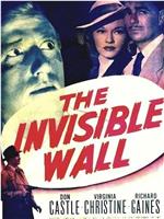 The Invisible Wall在线观看和下载