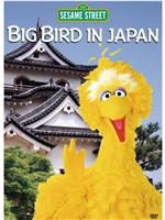 Big Bird in Japan在线观看和下载