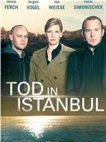 Tod in Istanbul在线观看和下载