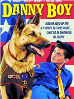 军犬丹尼观看
