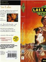 The Last Chance Detectives: Escape from Fire Lake在线观看和下载