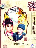 芙蓉传观看
