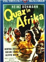 Quax in Afrika在线观看和下载