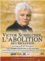 Victor Schoelcher, l'abolition在线观看和下载