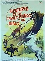 Aventuras de un caballo blanco y un niño在线观看和下载