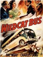 Wildcat Bus在线观看和下载