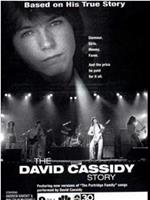 The David Cassidy Story观看