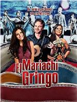 Mariachi Gringo在线观看和下载