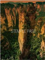 Stemple Pass在线观看和下载