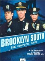 Brooklyn South在线观看和下载