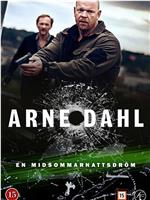 Arne Dahl: En midsommarnattsdröm在线观看和下载