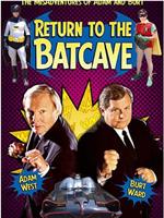 Return to the Batcave: The Misadventures of Adam and Burt在线观看和下载