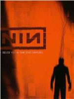 Nine Inch Nails ‎– Live: Beside You In Time在线观看和下载