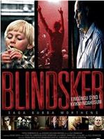 Blindsker: Saga Bubba Morthens在线观看和下载