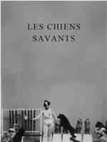 Les chiens savants在线观看和下载