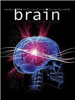 The Brain在线观看和下载