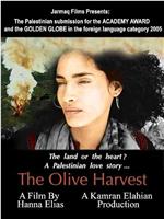 The Olive Harvest在线观看和下载