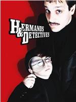 Hermanos y detectives在线观看和下载