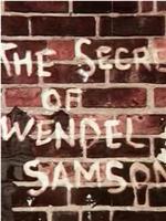 The Secret of Wendel Samson在线观看和下载