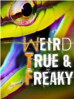 Weird, True & Freaky在线观看和下载