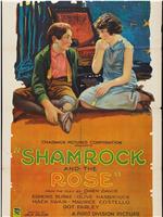 The Shamrock and the Rose在线观看和下载