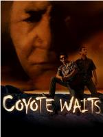 Coyote Waits在线观看和下载