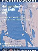 Het geheim van Delft在线观看和下载