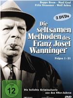 Die seltsamen Methoden des Franz Josef Wanninger在线观看和下载