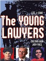 The Young Lawyers在线观看和下载