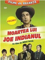 Moartea lui Joe Indianul在线观看和下载