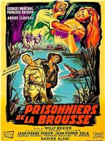 Prisonniers de la brousse在线观看和下载