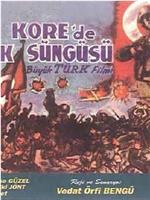 Kore'de Türk süngüsü在线观看和下载