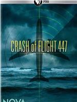 PBS NOVA: Crash of Flight 447在线观看和下载