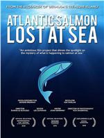 Atlantic Salmon: Lost at Sea在线观看和下载