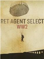 Secret Agent Selection: WW2在线观看和下载