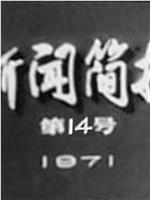 新闻简报1971年第14号：鄱阳湖畔炼红心在线观看和下载