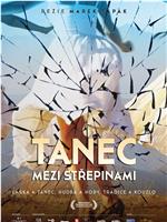 Tanec medzi črepinami在线观看和下载