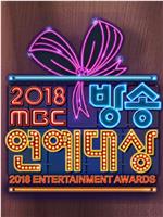 2018 MBC 演艺大赏在线观看和下载