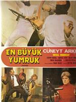 En büyük yumruk在线观看和下载