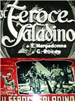 Il feroce Saladino在线观看和下载