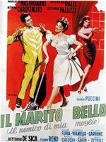 Il marito bello: Il nemico di mia moglie在线观看和下载