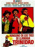 Ninguno de los tres se llamaba Trinidad在线观看和下载