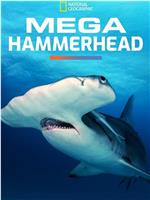 Mega Hammerhead在线观看和下载