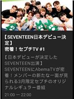 密著！SEVENTEEN TV在线观看和下载