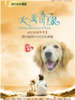 犬爱奇缘在线观看和下载