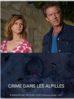 Crime dans les Alpilles在线观看和下载