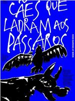 Cães que ladram aos pássaros在线观看和下载