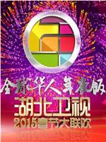 湖北卫视2015春节大联欢在线观看和下载